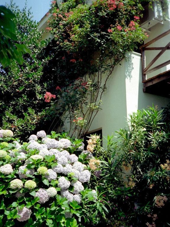 Villa Georgie ツァガラダ エクステリア 写真